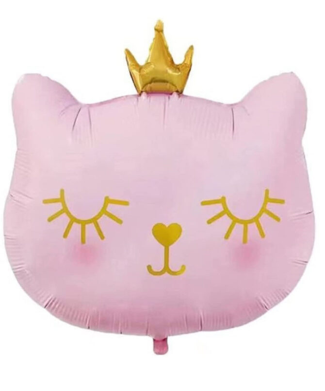 pink cat princess balloon birthday party girls