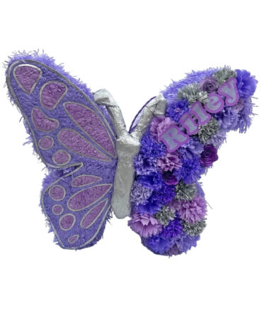 Butterfly / fairy piñata